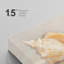 «Neutral Coastal Conch Shell Still Life Ocean Inspired Decor», reproduction d'art sur toile encadrée-1708716798-1708716737