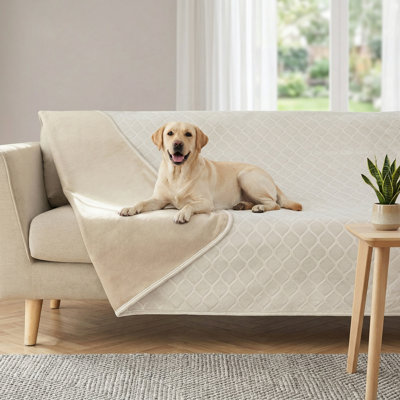 Water-Resistant Dog Blanket Bed Cover. Made of Crystal Velvet with a Moroccan-Inspired Fuzzy, Cozy Plush Texture. Throw Blanket for Couches and Sofas. Dimensions: 40 x 60 Inches. Color Combination: Cream and Beige.