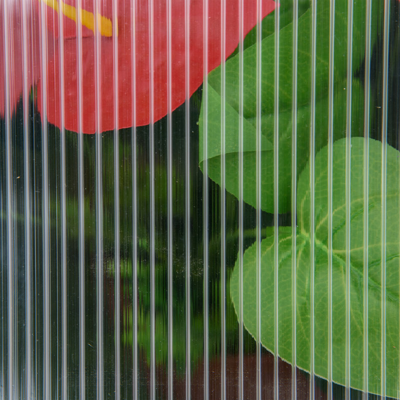 Ademaro 3 Ft W x 1.7 Ft D Mini Greenhouse