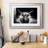 " Photography Study Highland Cattle "-845798269-845798019-845788058