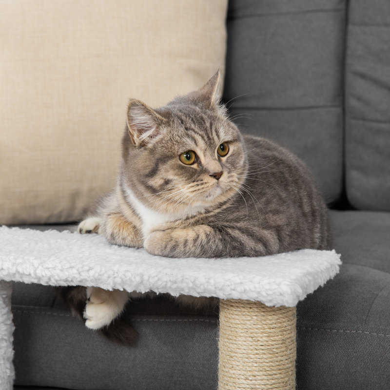 Pet with 3Step for Cats, White