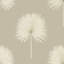 Fan Palm Wallpaper-50888994