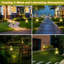 Luminaire solaire Hedaqi Frog