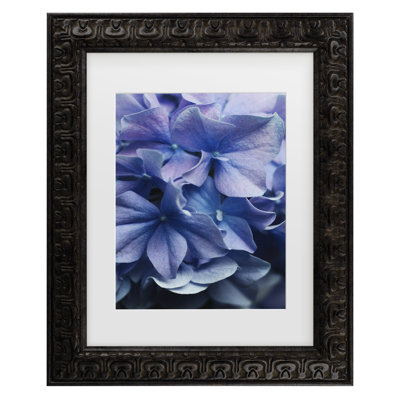 Encadré bolognais, bolognaise, lilas, hortensia, encadré