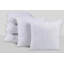 Solid Sterilized Extra Fill Square Pillow Insert-1618863851