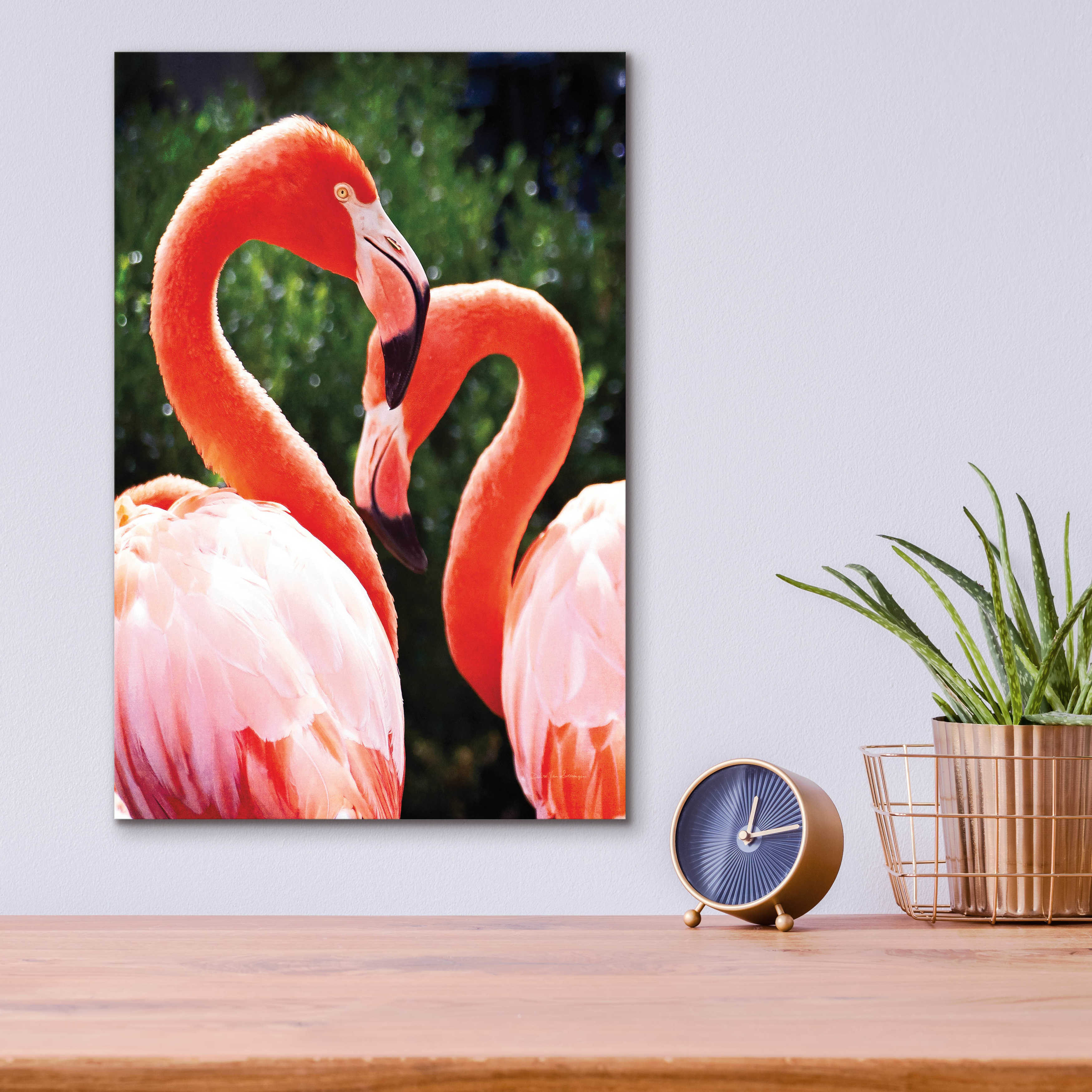 https://assets.wfcdn.com/im/88743547/compr-r85/2261/226183375/flamingo-ii-on-plasticacrylic-by-debra-van-swearingen-print.jpg