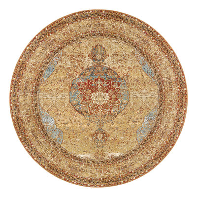 Indoor/Outdoor Traditional Area Rug