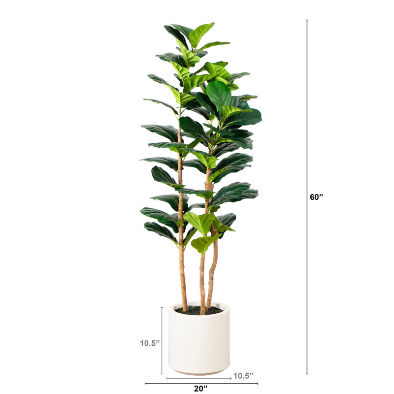 Artificial Fiddle Leaf Tree in Decorative White Planter, 60" H x 20" W x 20" D