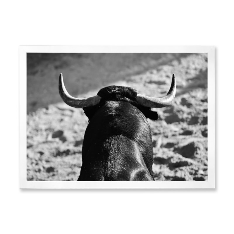 Portrait monochrome d'un taureau espagnol II - photographie sur toile, H 16 po x l 32 po x p 1 po, Cadre blanc