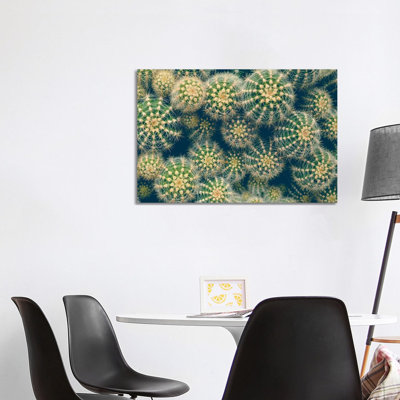 Cactus 1 Piece Wrapped Canvas Wall Art