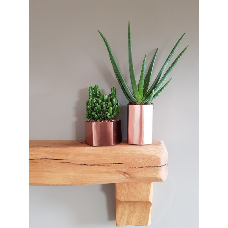 Shantel Metal Pot Planter