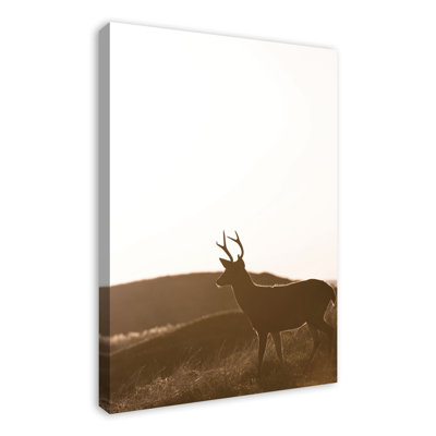 Morning Deer - imprimé