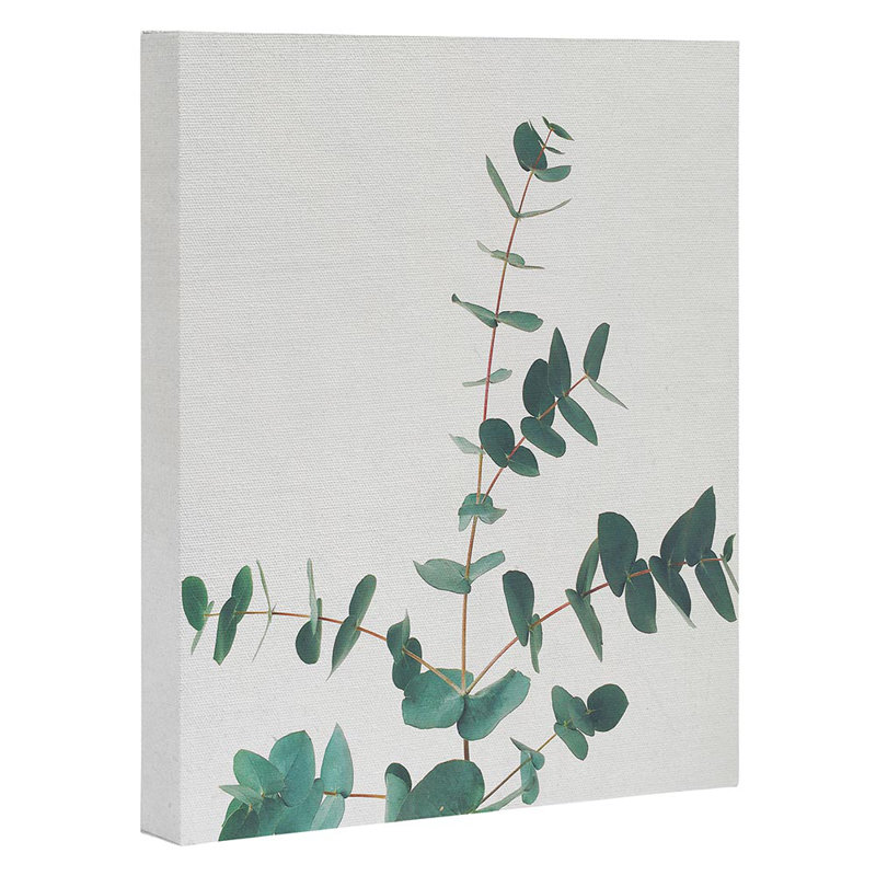 " The Eucalyptus ", Wrapped Canvas, 20" H x 16" W x 2" D, No Mat