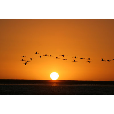 Flamingos in the Evening 1 Piece Wrapped Canvas Wall Art