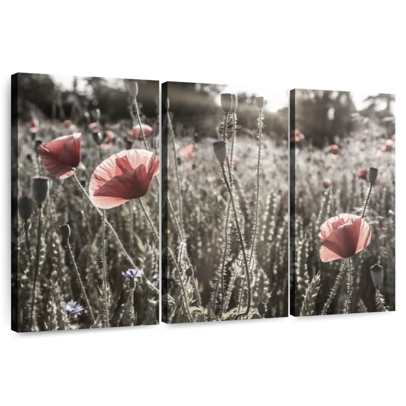 Harnek Poppy Impression rétro couleur pop, H 20 po x l 33 po