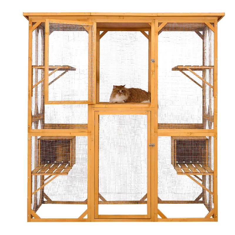 Enclos d'extérieur pour chat avec toit 72 po de hauteur, Grand (H 72 po x l 37 po x P 66 po), Jaune