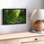 Impression sur toile Forest Stream-102354263