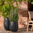 Dorlis Fiberstone Pot Planter-888476432-888476457