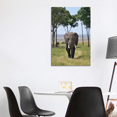 Gentle Giant by Elmar Weiss - Wrapped Canvas Print