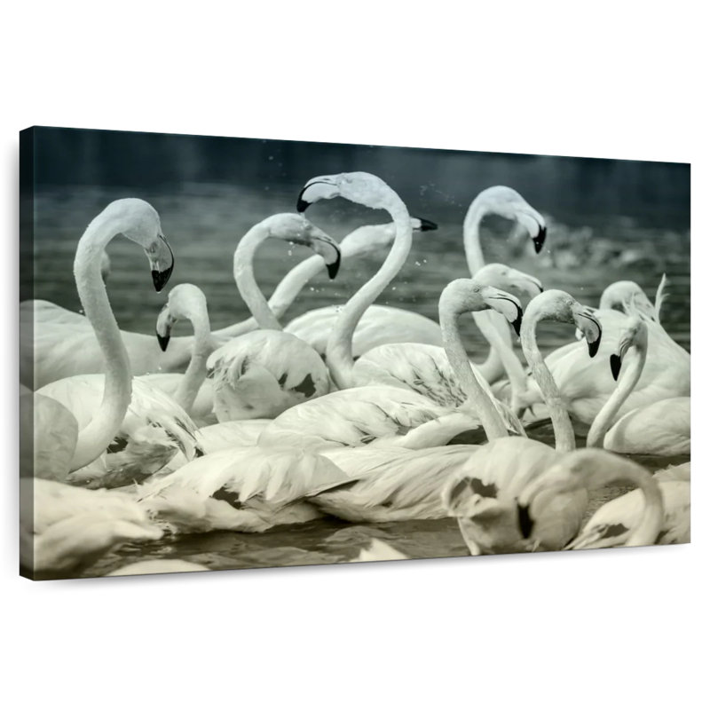 Flamants bruns sépia, H 26 po x l 39 po