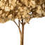 Hortensia naturel 15 "avec plusieurs branches, Natural Botanicals-1726425396