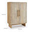 Armoire d'appoint Dally avec 2 portes sculptées, bois de manguier blanchi 45 po