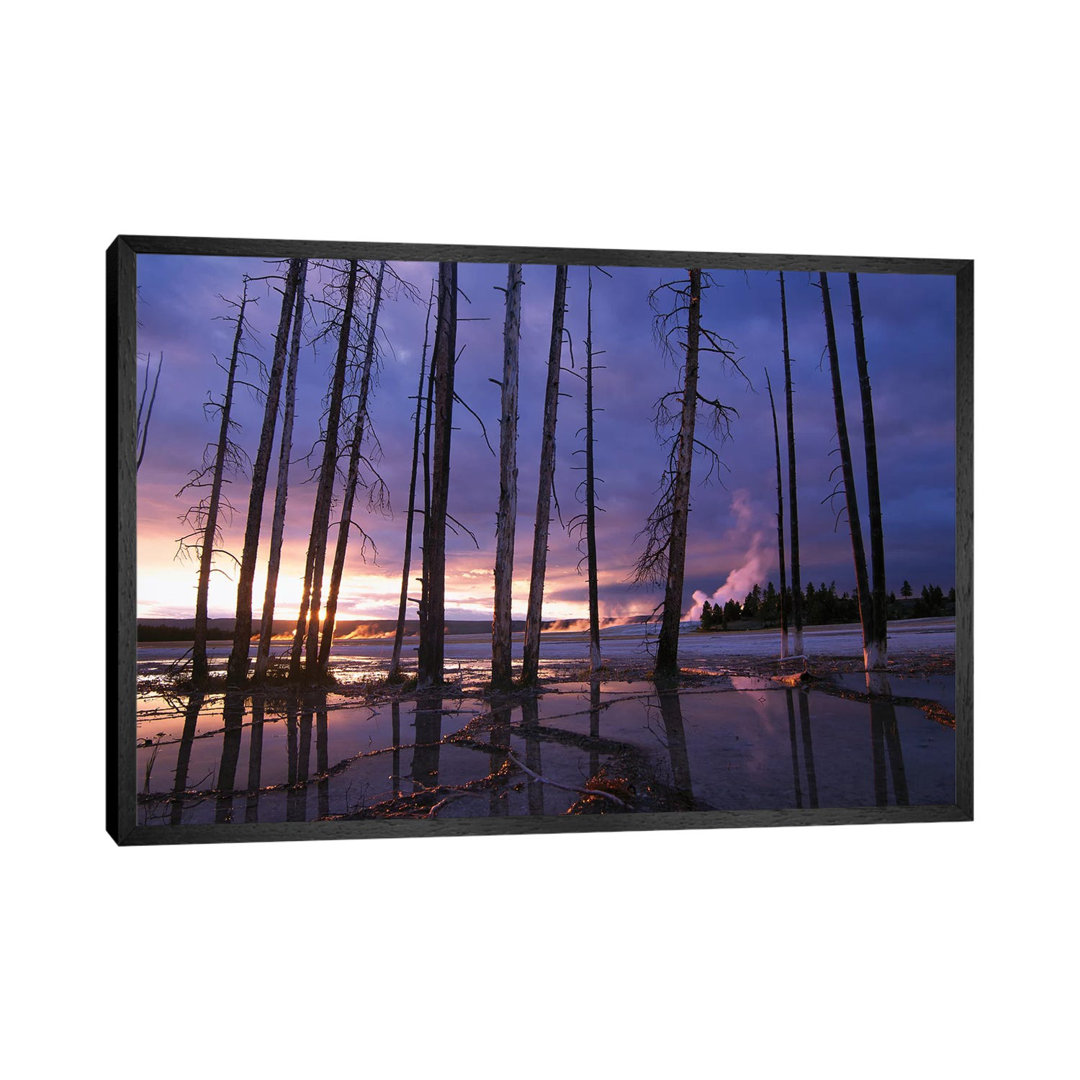 Dead Trees In Lower Geyser Basin At Sunset, Yellowstone National Park, Wyoming by Tim Fitzharris - Gallery-Wrapped Canvas Giclée on Canvas