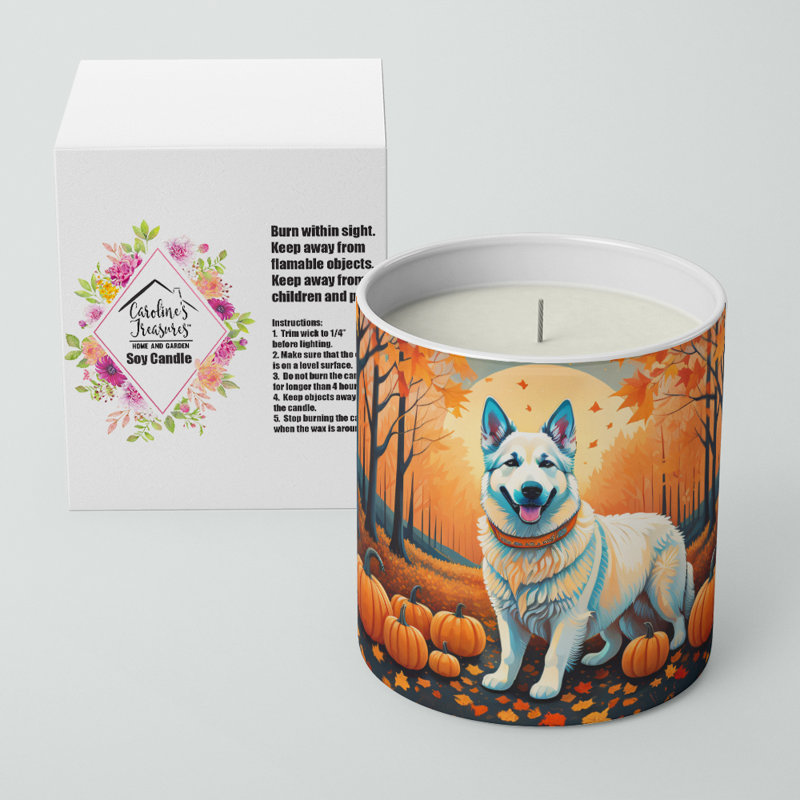 Bougie parfumée Pumpkin Spice avec support en céramique
