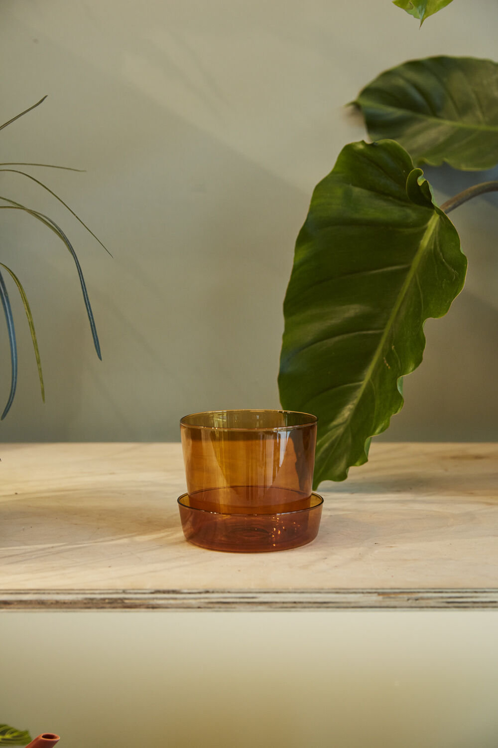 Glass Pot with Saucer, 4" H x 4.75" W x 4.75" D