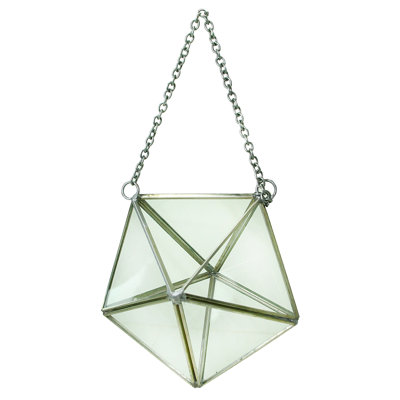 Hanging Glass Terrarium