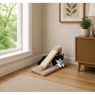 Arbre à chat incliné 12 "Premier