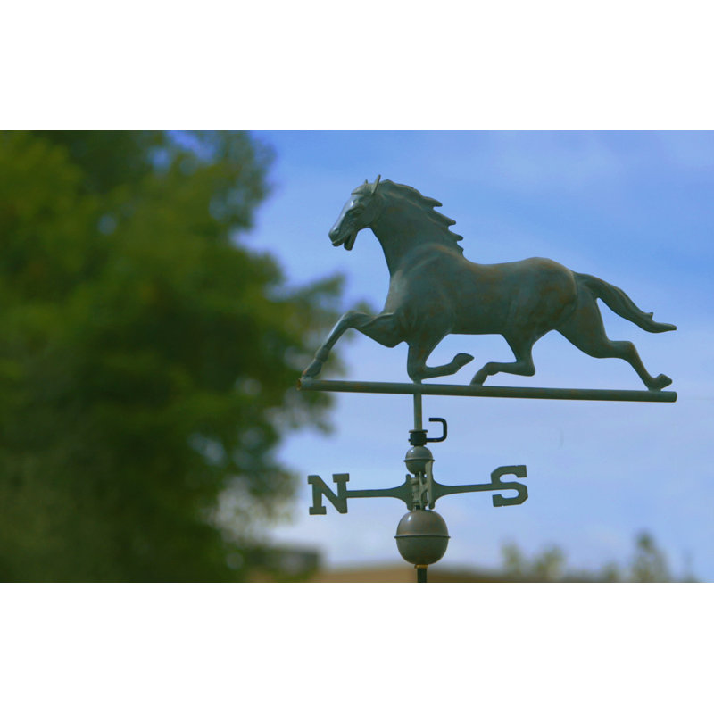 Girouette de cheval, Bleu-vert
