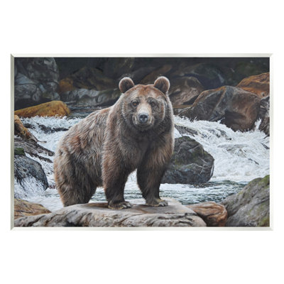 Stupell Industries Grizzly Bear by Waterfall Canvas Wall Art Design by Steve Burgess -  aw-640_wd_13x19