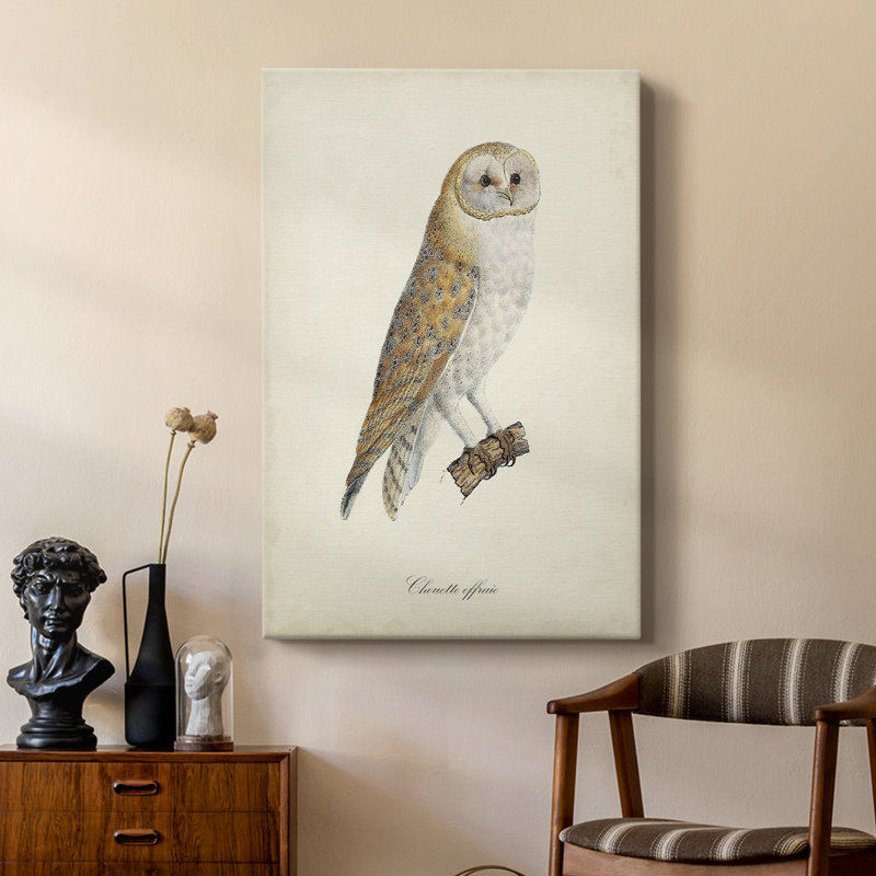 French Owls VI - Galerie Cavas sur mesure, H 27 po x l 18 po
