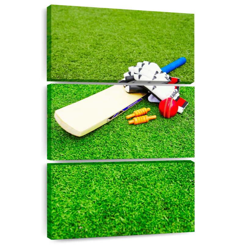 Sireci Outdoor Cricket Equipment, 50" H x 32" W