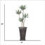 Agave rétro 69 po H 69 po, intérieur / extérieur, en pot rond (H 18 po x 18 po x 50 po)