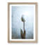 Solitary White Tulip Painting - Framed Print-56922534-56922535