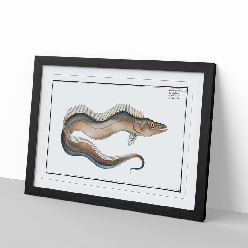 Sword-Fish by M.E. Bloch - Picture Frame Art Print, 27cm H x 36cm W x 2cm D, Black Framed