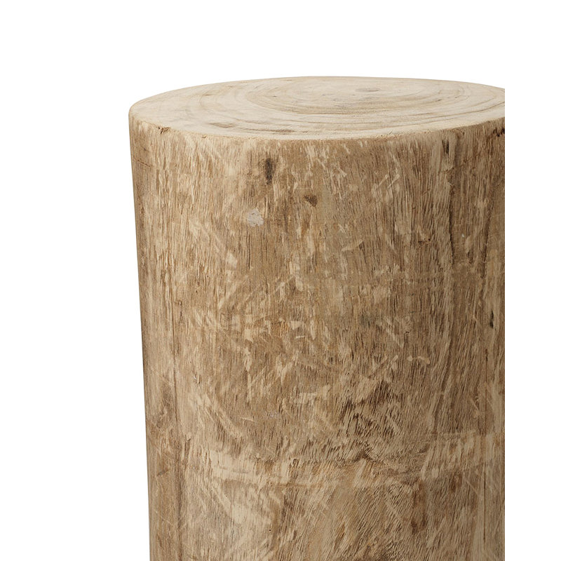 Agave Solid Wood End Table