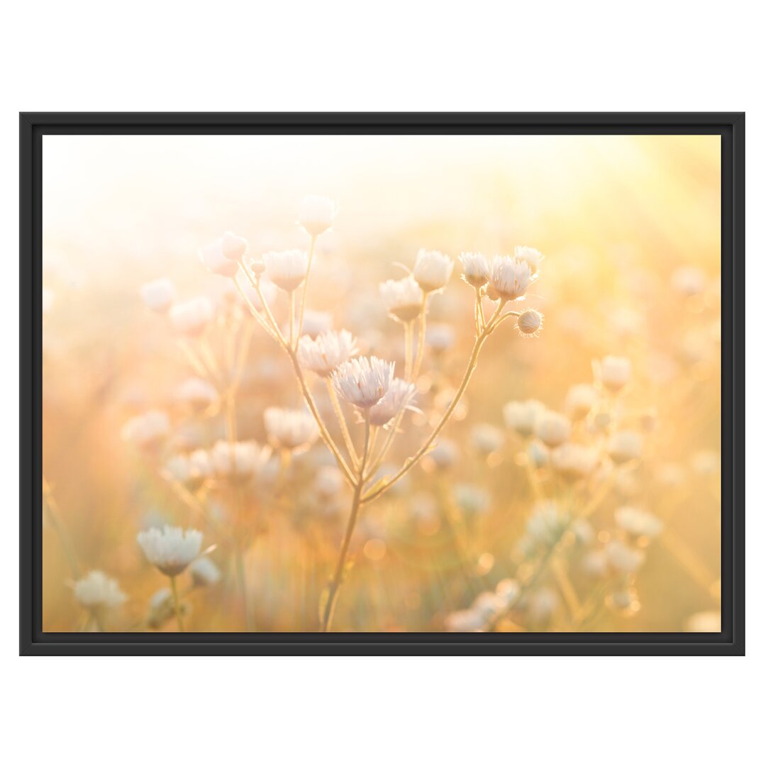 Gerahmtes Wandbild Romantische Blumenwiese