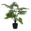 Grand buisson de Philodendron artificiel en pot-27778188