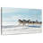 Brampt Winter Husky Sled Dogs-108887494