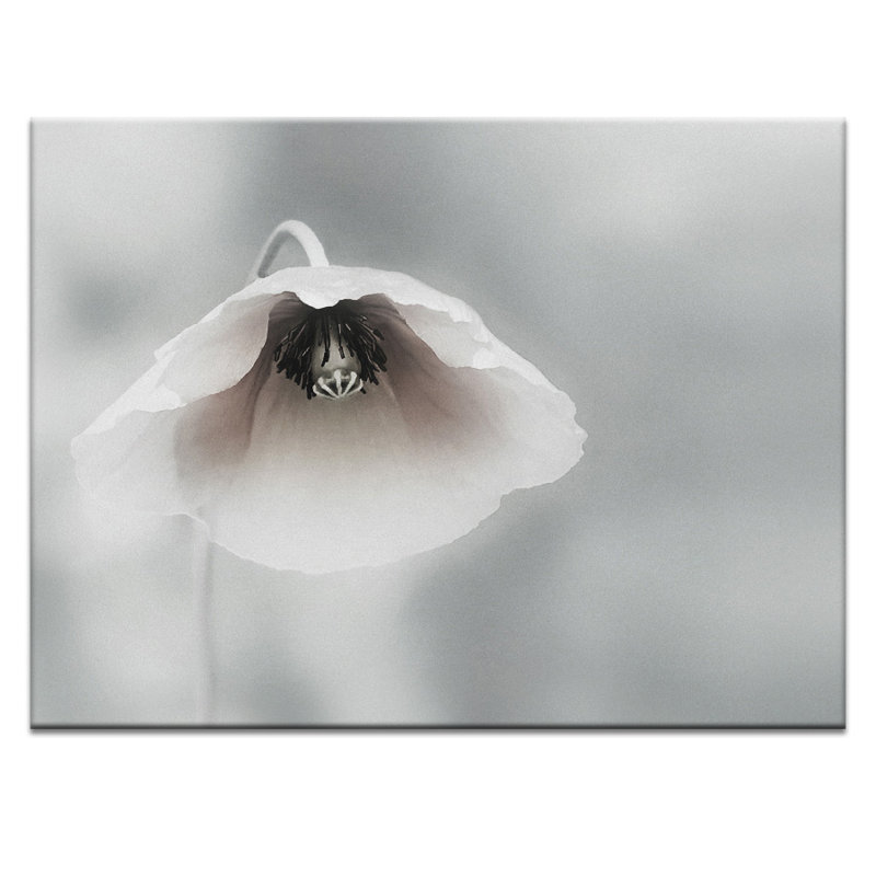 Print on Canvas, 41cm H x 51cm W, Wrapped Canvas