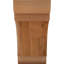 Olympic Knee Brace-31229592-31230592-29309935