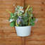 Metal Pot Planter-1969851571