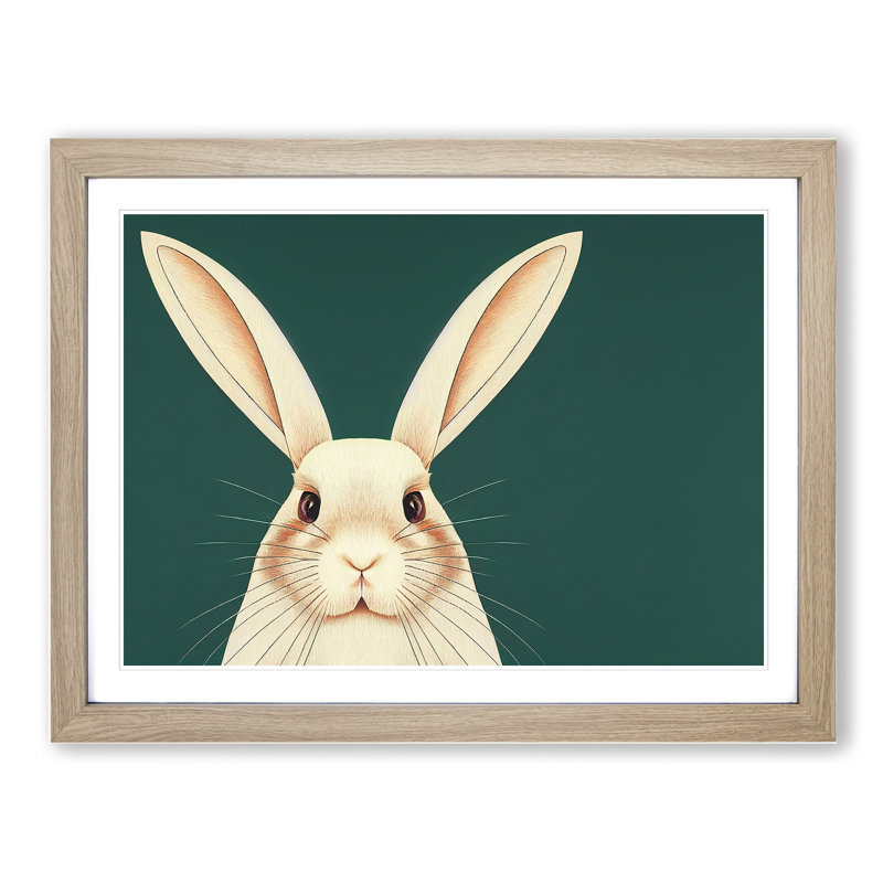 The Face Of A Rabbit - Single Picture Frame Print, Light Grey/Brown, 25cm H x 34cm W
