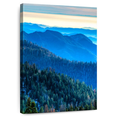 L'heure bleue du parc national Alvord Sequoia