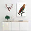 Brown-necked Parrot by F. Levaillant - Wrapped Canvas Painting-55361805