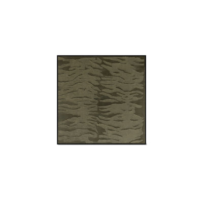 Sonora Framed Painting
