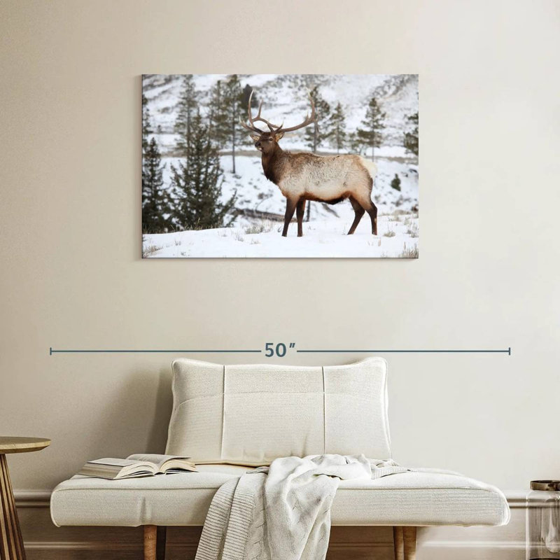 Wapiti d'hiver, H 24 po x l 36 po